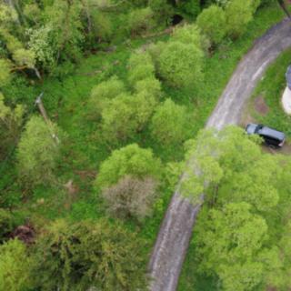 Prodej louky 1 390 m² Hanušovice Potůčník