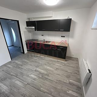 Pronájem bytu 1+1 35 m² Kamenný Újezd Krasejovka