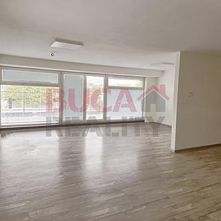 Pronájem kanceláře 148 m² Litvínovice
