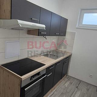 Pronájem bytu 2+1 32 m² Černá v Pošumaví