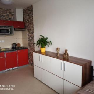 Pronájem bytu 1+kk, garsoniery 35 m² České Budějovice