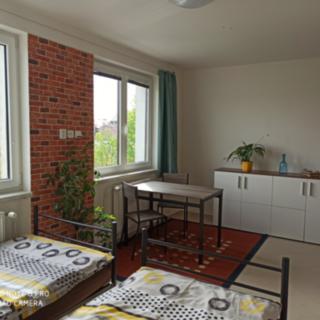 Pronájem bytu 1+kk a garsoniéry 35 m² České Budějovice 4, U Smaltovny