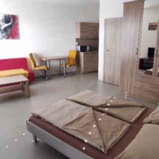 Pronájem bytu 1+kk, garsoniery 40 m² České Budějovice