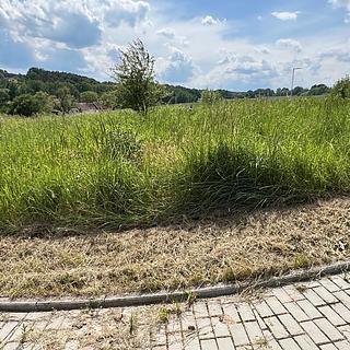 Prodej stavební parcely 777 m² Kamenný Újezd, Plavská