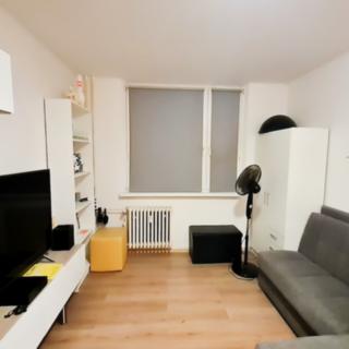 Pronájem bytu 1+kk, garsoniery 26 m² Přerov