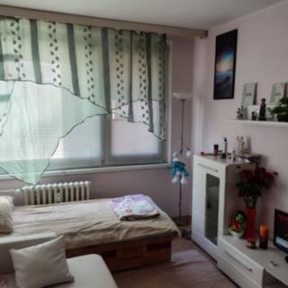 Prodej bytu 2+kk 39 m² Teplice Prosetice, Pražská