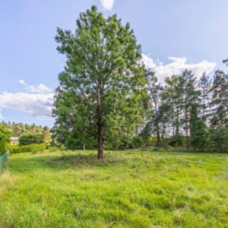 Prodej stavební parcely 988 m² Ralsko