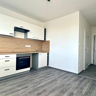 Pronájem bytu 1+1 40 m&sup2; České Budějovice
