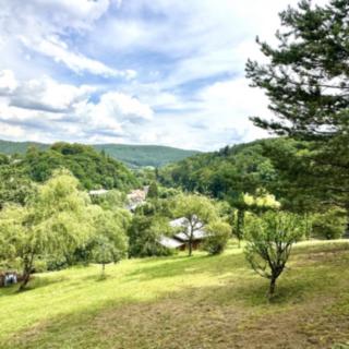 Prodej stavební parcely 3706 m² Stříbrná Skalice