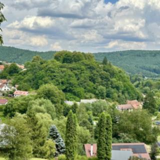 Prodej chaty 42 m² Stříbrná Skalice