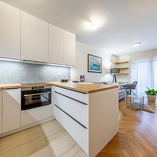 Pronájem bytu 1+kk a garsoniéry 38 m² Praha Dolní Měcholupy, Na návsi
