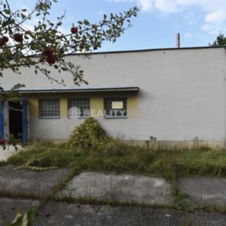 Prodej ostatního komerčního prostoru 99 m² Vodňany Hvožďany