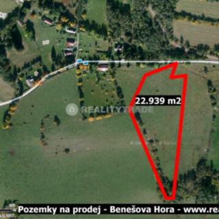 Prodej zemědělské půdy 23 939 m² Vacov Benešova Hora