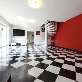 Prodej rodinného domu 319 m² Pracejovice