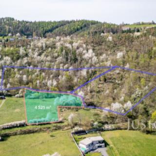 Prodej stavební parcely 4 525 m² Solenice
