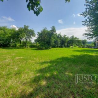 Prodej stavební parcely 2 918 m² Dražíč