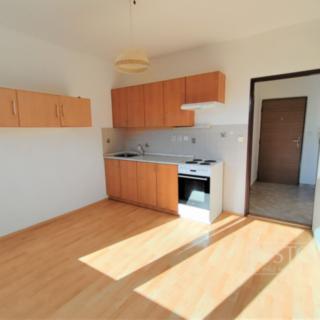 Pronájem bytu 1+1 40 m² Písek Budějovické Předměstí, Dr. M. Horákové