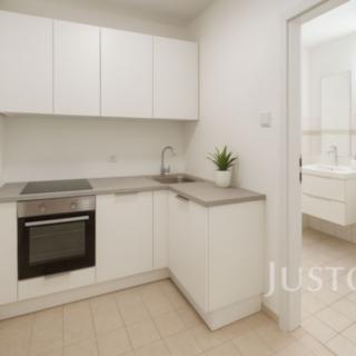 Pronájem bytu 1+1 30 m² Písek Pražské Předměstí, Pražská