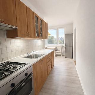 Prodej bytu 2+1 64 m² Písek Budějovické Předměstí, nábřeží 1. máje