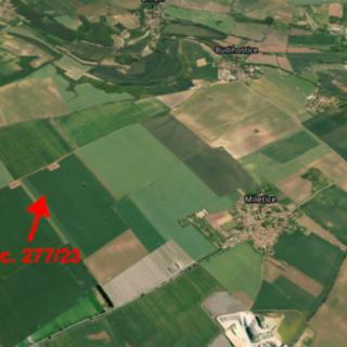 Prodej zemědělské půdy 7167 m² Černuc