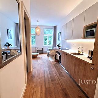 Pronájem bytu 2+kk 53 m² Písek