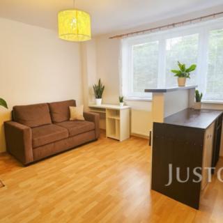 Pronájem bytu 1+kk a garsoniéry 27 m² Písek Pražské Předměstí, Přemyslova