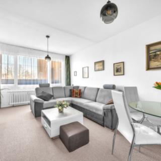 Prodej bytu 1+1 40 m² Litoměřice Předměstí, Družstevní