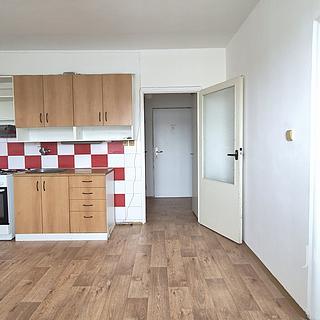 Pronájem bytu 1+1 39 m² Písek