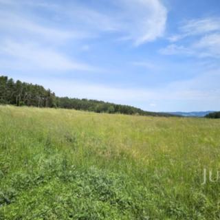 Prodej komerčního pozemku 8 980 m² Dobev Velké Nepodřice