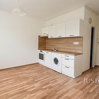 Pronájem bytu 1+1 36 m² Ústí nad Labem, Hluboká