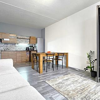 Prodej bytu 3+kk 60 m&sup2; Písek