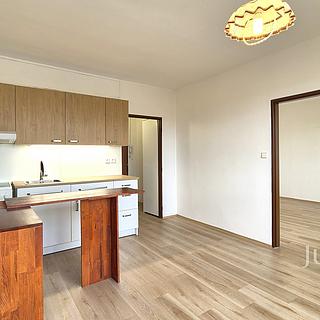 Pronájem bytu 1+1 36 m² Písek Budějovické Předměstí, třída Přátelství