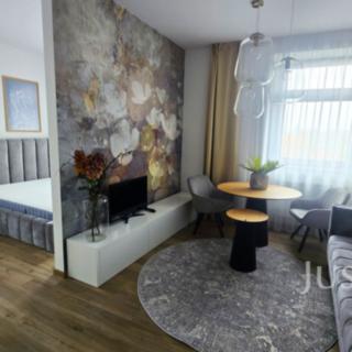 Pronájem bytu 1+1 38 m² Písek Pražské Předměstí, Vladislavova