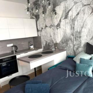 Pronájem bytu 1+kk a garsoniéry 20 m² Písek Pražské Předměstí, Vladislavova