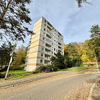 Prodej bytu 1+kk a garsoniéry 32 m² Ústí nad Labem, Vinařská