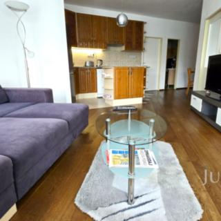 Pronájem bytu 3+kk 68 m² Písek Pražské Předměstí, V Portyči
