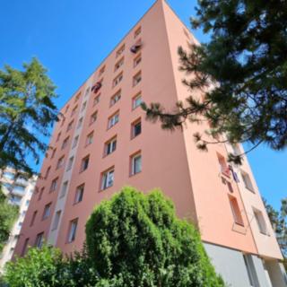 Prodej bytu 1+kk a garsoniéry 26 m² Písek Budějovické Předměstí, třída Přátelství