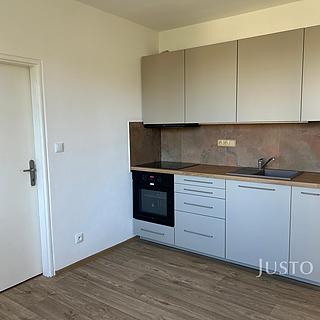 Pronájem bytu 1+kk, garsoniery 36 m&sup2; Písek