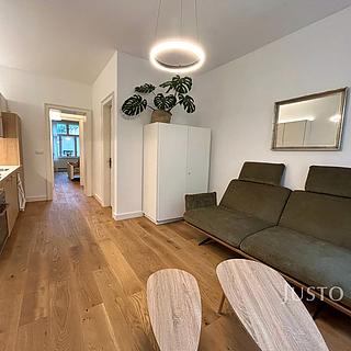 Pronájem bytu 2+kk 53 m² Písek