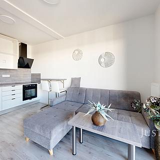 Pronájem bytu 1+kk a garsoniéry 33 m² České Budějovice 4, Vrbenská