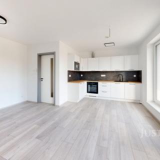 Pronájem bytu 2+kk 48 m² České Budějovice