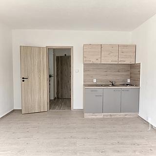 Pronájem bytu 1+kk a garsoniéry 22 m² Ostrava Hrabůvka, Krakovská