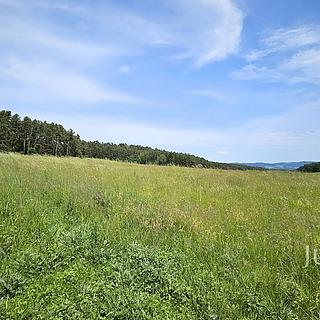 Prodej stavební parcely 8 980 m² Dobev Velké Nepodřice