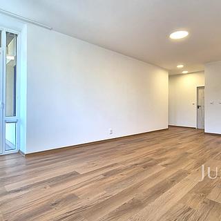 Pronájem bytu 2+kk 66 m² Písek Pražské Předměstí, V Portyči