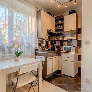 Prodej bytu 1+kk a garsoniéry 24 m² Praha Strašnice, Brigádníků