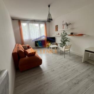 Pronájem bytu 1+1 40 m² Frýdek-Místek Místek, 28. října