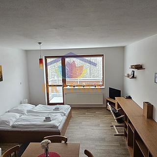 Pronájem bytu 1+kk a garsoniéry 40 m² Čeladná