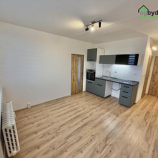 Pronájem bytu 2+kk 36 m&sup2; Plzeň