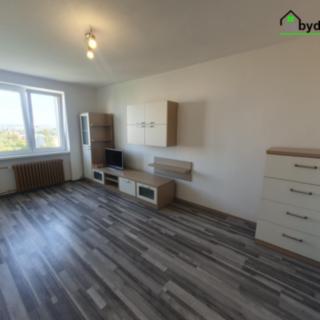 Pronájem bytu 1+1 38 m² Plzeň