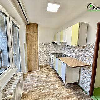 Pronájem bytu 1+1 41 m² Plzeň